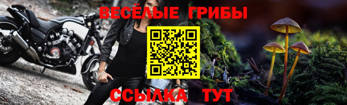 Нурлат  наркотики  Вход с VPN  Псилоцибиновые грибы ЛСД 